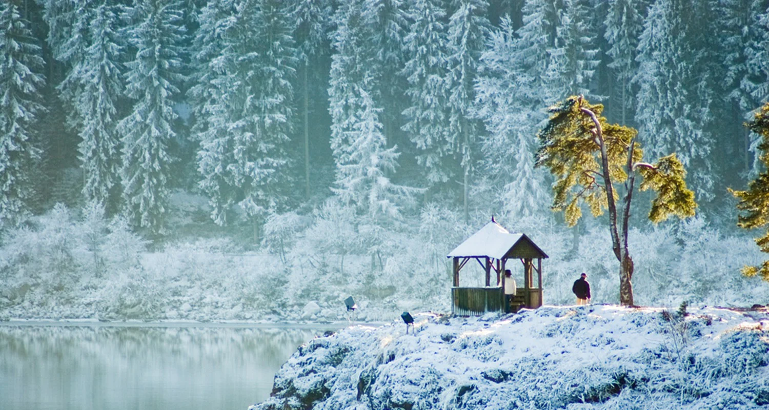 Floresta Negra Alemanha 1